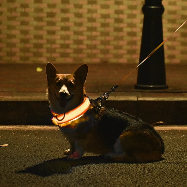 TopLLC Dog Collar USB Rechargeable Bright & High Visibility Lighted Collar For Pet Night Walking In 4 Colors