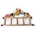 thumbnail image 4 of Bird Swing Toy Bite Resistant Fun Bird Chewing Toy Parrot Toy Bird Hanging Toy, 4 of 10