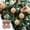 Orange, variant on Anhility 4Pcs Flocked Christmas Ball Ornaments 2.36" Small Flocked Christmas Tree Hanging Ornaments Shatterproof Xmas Bulbs for Home Xmas Tree Party Decor (Green)