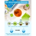 thumbnail image 6 of HEZUO Decaffeinated Oolong Tea Bags, Mild Flavor, Individually Wrapped, Biodegradable Tea Bags, 20 Count, for Hot or Iced Tea, 6 of 8