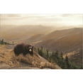thumbnail image 2 of Great Art Now Bear Country by Lori Deiter, Framed Wall Art, 34.5W x 26.5H, 2 of 2
