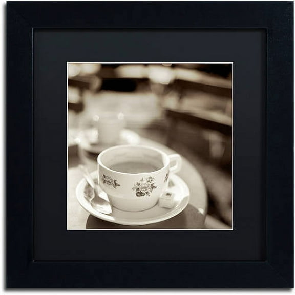 Trademark Fine Art "Jardin du Luxembourg II" Canvas Art by Alan Blaustein, Black Matte, Black Frame