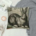 thumbnail image 2 of JEUXUS  Vintage Easter Bunny Pillow Cover Cute Animal Rabbit Home Decor Throw Cushion Case, 2 of 5