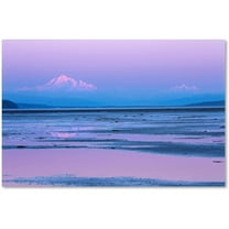Trademark Fine Art "Baker Twilight" Canvas Art by Pierre Leclerc