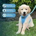 thumbnail image 4 of Voyager Step-In Air All Weather Mesh Harness & Reflective Dog Leash Combo w/ Neoprene Handle 5ft , For Small to Large Breed Dogs Cute & Heavy Duty, Best Pet Supplies- Baby Blue Blue Trim, M, 4 of 10