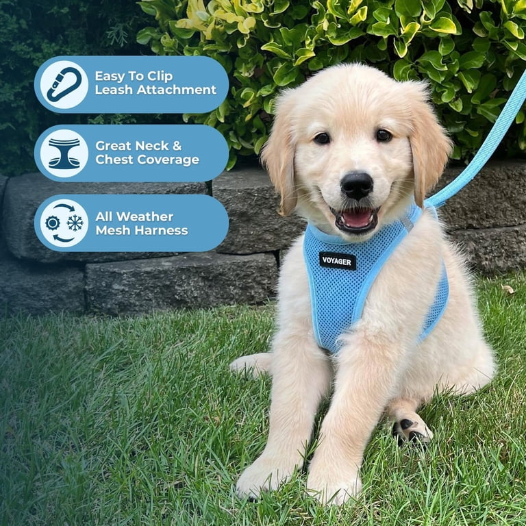 Voyager Step-In Air Cat Harness, All-Weather Mesh photo 3