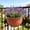 Red, variant on Gallickan Half Round Wall Mount Planter, Green Color, Breathable Flower Pot for Herbs