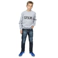 thumbnail image 4 of Harry Potter Boys Dobby SPEW Sweatshirt, 4 of 5