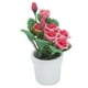 thumbnail image 5 of Dollhouse Bouquets, Beautiful Attractive Vivid Lifelike 1:12 Small Mini Potted Plant For Gift For Dollhouse Decoration ANGGREK Juguetes, 5 of 7