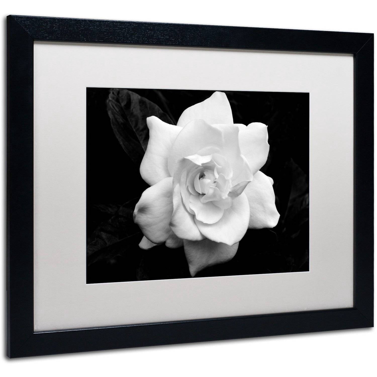 "Gardenia in Black and White" Canvas Art by Kurt Shaffer, White Matte, Black Frame