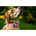 thumbnail image 3 of AirTag Collar - Waterproof & Quick Release Buckle, 3 of 18