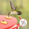 thumbnail image 4 of Hummingbird Feeder Extension, Birdfy Add-ons Bird Feeder with Camera, 18.3 oz Hummingbird Feeders Perch, Red, 4 of 6