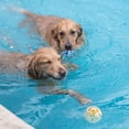 thumbnail image 2 of Pelota para perro de 2 piezas, pelota de juguete para perro, goma indestructible, muy estirable, 2 of 5
