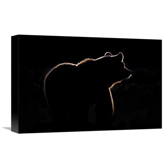 Global Gallery Gorazd Golob 'Highlight' Canvas Wall Art
