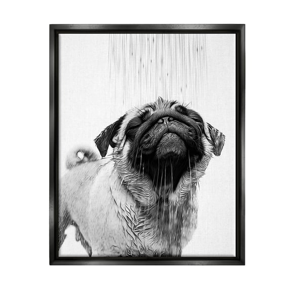 Stupell Industries Pug Bathroom Splash Animals & Insects Painting Black Floater Framed Canvas Art Print Wall Art, 17 x 21