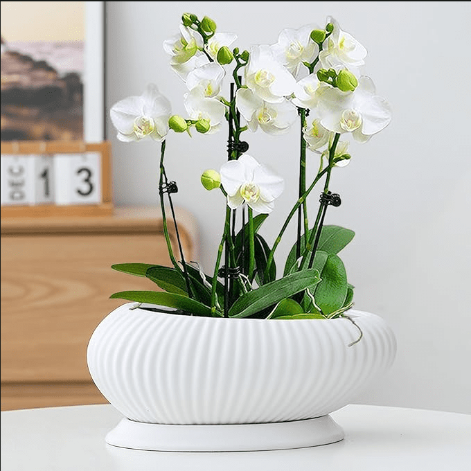 33 x 21 x 13.5 cm Oval White Ceramic Ribbed Planter