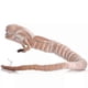 thumbnail image 5 of New Alien Toy Facehugger Chestburster Stuffed Figure Plush Soft Festival Gift, 5 of 5