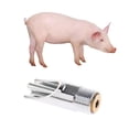 thumbnail image 4 of Alimentador automático de agua de de pezón de cerdo de 20 piezas para alimentador de agua de granja / jardín Yinane Bebedero de niple de cerdo, 4 of 8