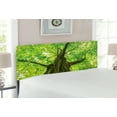 thumbnail image 2 of Forest Headboard, Old Big Majestic Tree Environment Countryside Eco Solidarity National Park Scenery, Upholstered Decorative Metal Bed Headboard with Memory Foam, Full Size, Green Brown, by Ambesonne, 2 of 4