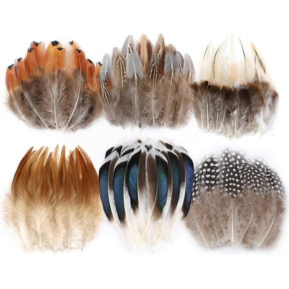 Natural Pheasant Craft Feathers - 240 pcs 6 Style Mixed Feathers for Dream Catcher Supplies,Jewelry,Hats and Jewelry Accessories (Natural)