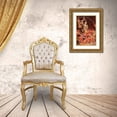 thumbnail image 3 of Wiley, Marta 17x24 Gold Ornate Wood Framed with Double Matting Museum Art Print Titled - Fibonacci Flamenco, 3 of 4