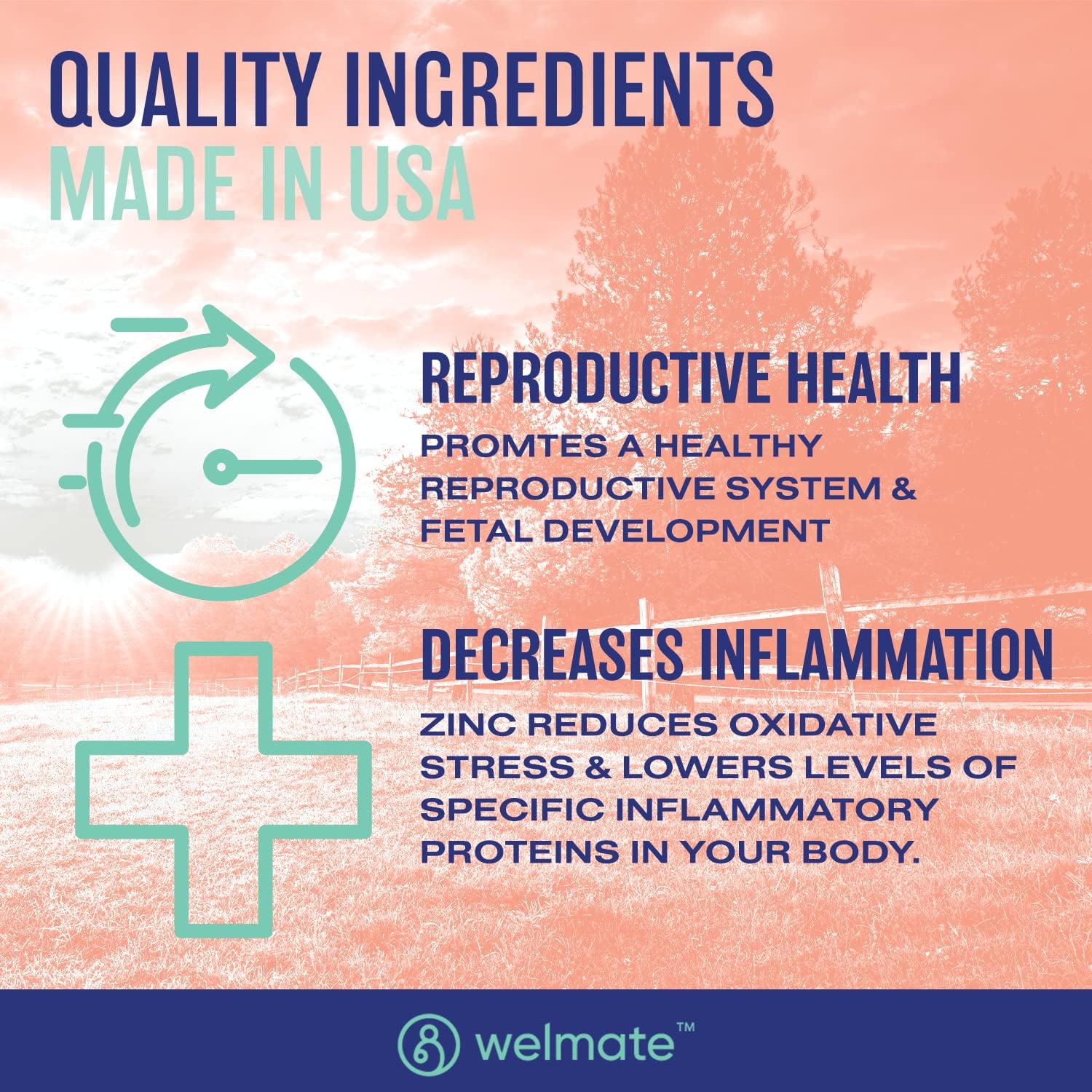 (2 pack) WELMATE Dietary Supplement, Zinc(as Zinc Sulfate) 50mg Immune Health Support - 200 Tablets