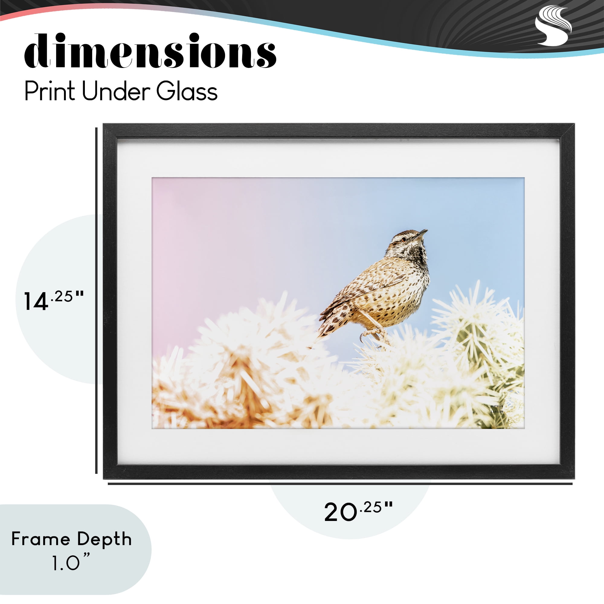 Stupell Industries Desert Song Bird Black Framed Print Under Glass, design by Nathan Larson