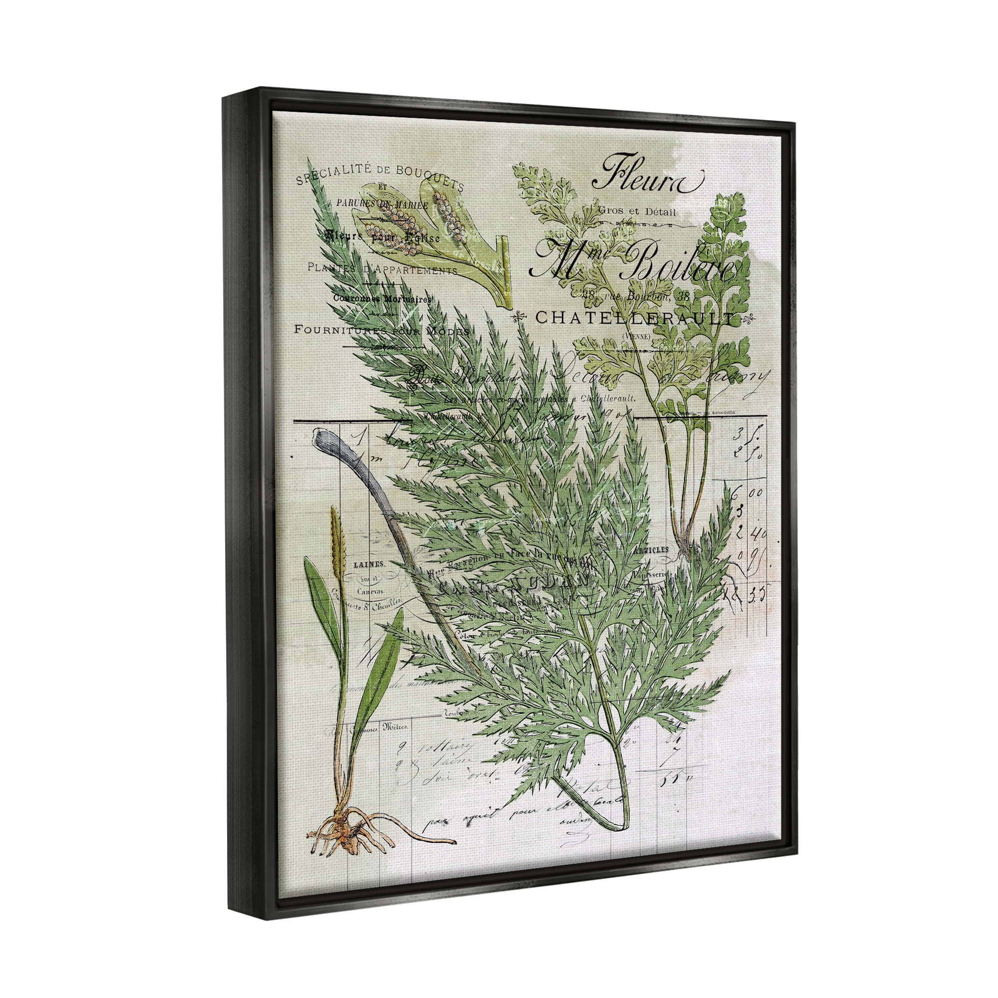 Stupell Vintage Nature Fern Studies Botanical & Floral Painting Black Floater Framed Art Print Wall Art