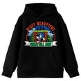 thumbnail image 5 of Sonic The Hedgehog Visit Beautiful Green Hill Zone Youth Black Long Sleeve Hooded Sweatshirt-Small, 5 of 7
