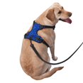 thumbnail image 3 of Lsque Blue Circles Mosaic Dog Harness, No-Pull Pet Harness with 2 Leash Clips, Adjustable Soft Padded Dog Vest with Easy Control Handle for Large Dogs-X-Large, 3 of 9