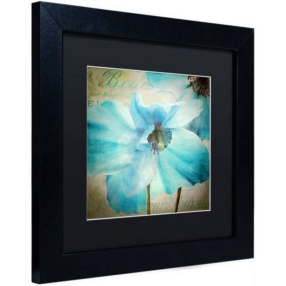 Trademark Fine Art "Himalayan Blue II" Canvas Art by Color Bakery Black Matte, Black Frame