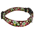 thumbnail image 6 of Country Brook Petz® Daisy Fields Everyday Dog Collar - Made In The U.S.A., Extra Small, 6 of 7