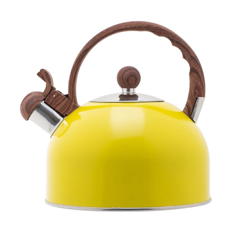 2.5 Liter Whistling Tea Kettle - Modern Stainless Steel Whistling