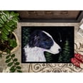 thumbnail image 3 of Carolines Treasures SS8490MAT Starry Night Border Collie Doormat 18x27 27"L x 18"W multicolor, 3 of 4