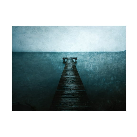 Trademark Fine Art Farid Kazamil The path Canvas Wall Art