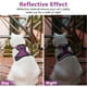 thumbnail image 4 of Set de arnés y correa para gatos Dooradar Escape Proof Purple S, 4 of 9