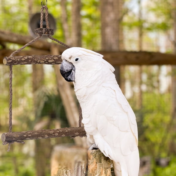 WHAMVOX Bird Chewing Toy for Pet Birds Coffee Color Durable Composite Material  Perfect for Bird Cage Use  Size  15.0 x 5.0 x 4.0