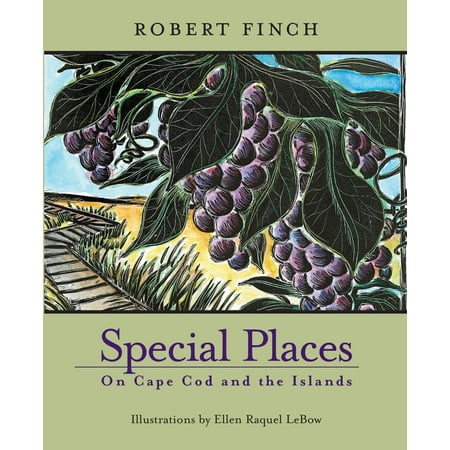Her Special Place - Special Places on Cape Cod & Islands