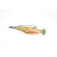 thumbnail image 6 of Shrimp Toy, Prawn, Tiger Shrimp, Ocean, Sea, Realistic Rubber Figure, Model, Educational, Animal, Hand Painted Figurines, 4" CH083 BB82, 6 of 7