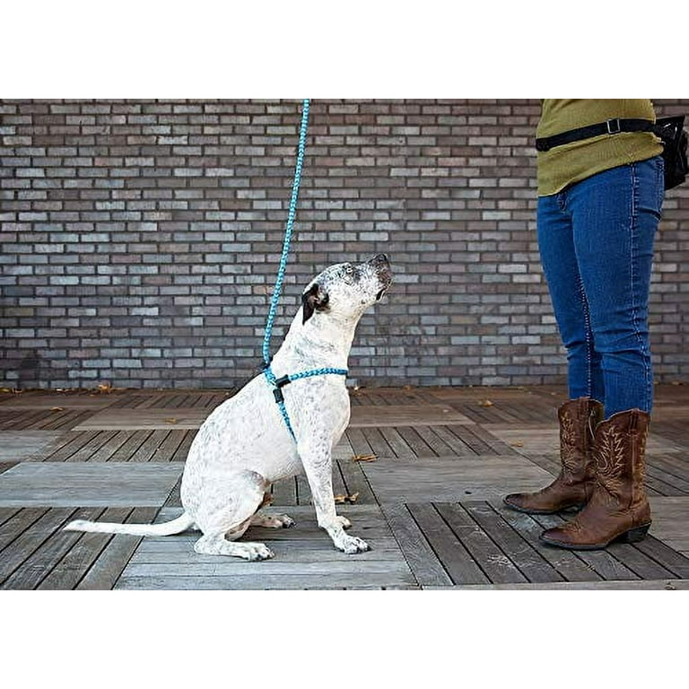 Dog harness for boot sale