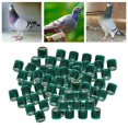 thumbnail image 2 of kurtrusly 100Pcs 2022 Aluminium Dove Racing Pigeon Foot Rings Bands 8mm Green, 2 of 8