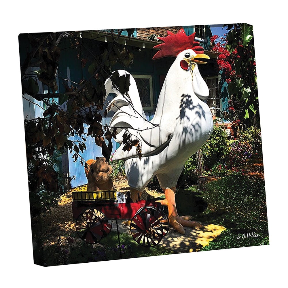 LAWN CHICKEN by photographer Steven A. Heller - 14"x14" Canvas Artwork - Multi-Color 16 x 20