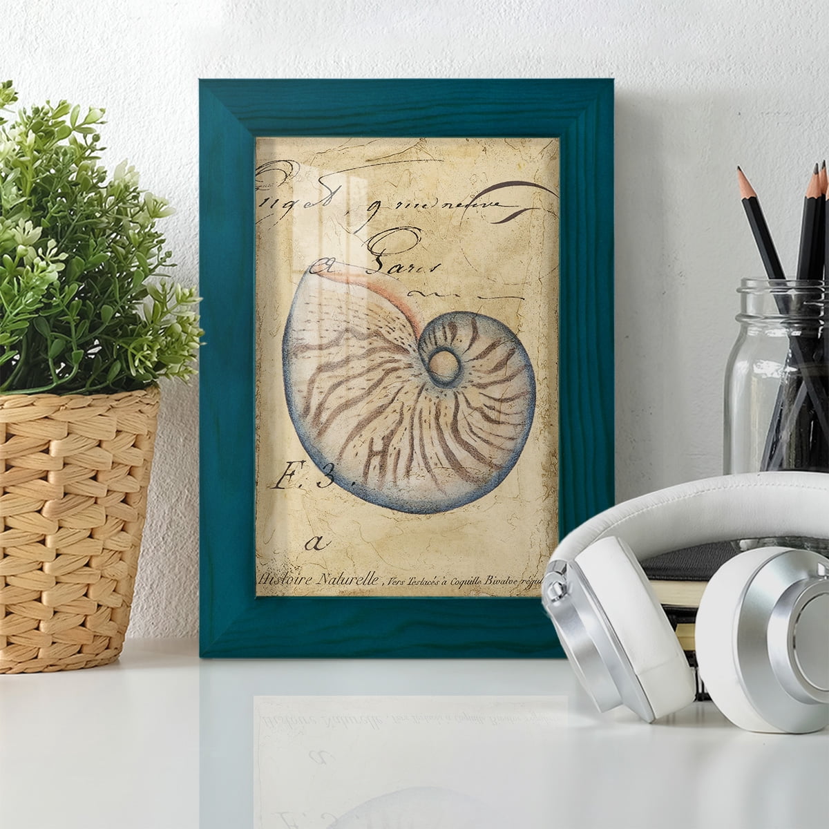 Seashell Ephemera II - Framed Print w/glass - Ocean Blue