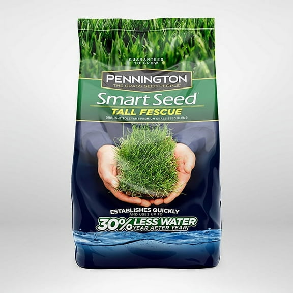 Pennington 100086830 Smart Seed Tall Fescue Premium Grass Seed Blend, 3-Pound