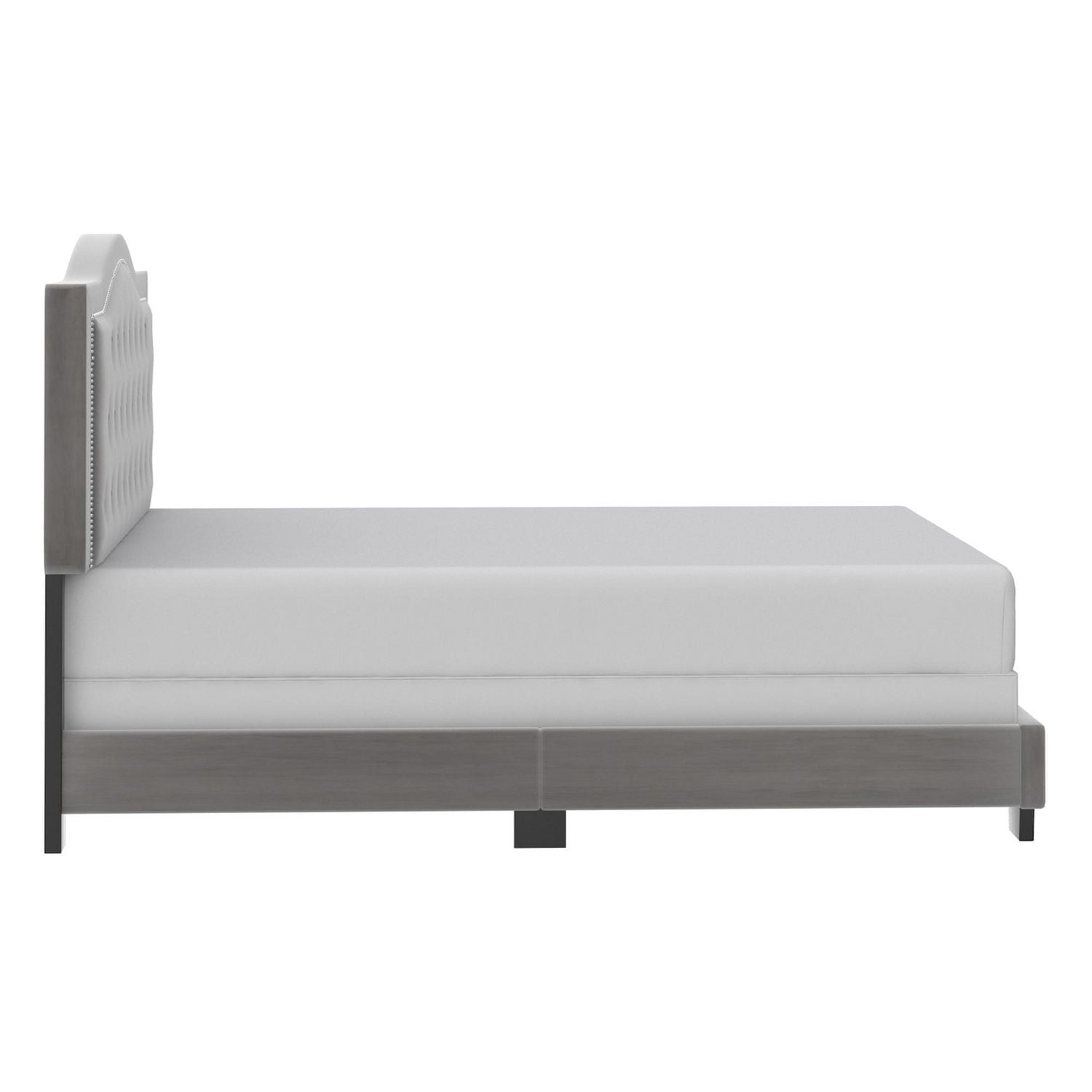 Modern Velvet Upholstered 60" Queen Bed in Light Grey
