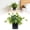 H, variant on Plants Artificial Pothos with Pots, Realistic Hanging Plants in Plastic Pots, Indoor Outdoor Decor for Home Shelf Bathroom Kitchen