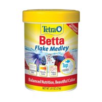 Fish Food Walmart Com