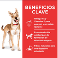thumbnail image 1 of Hill's Canino Adult 2 Kg 4 Unid X Caja Original Sellado, 1 of 6