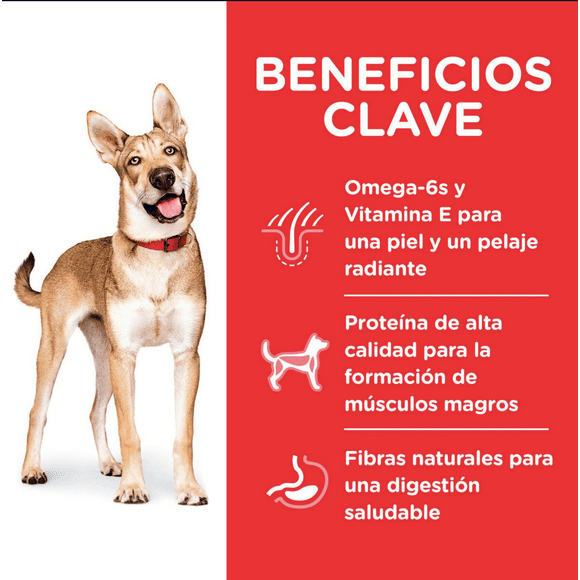 Hill's Canino Adult 2 Kg 4 Unid X Caja Original Sellado