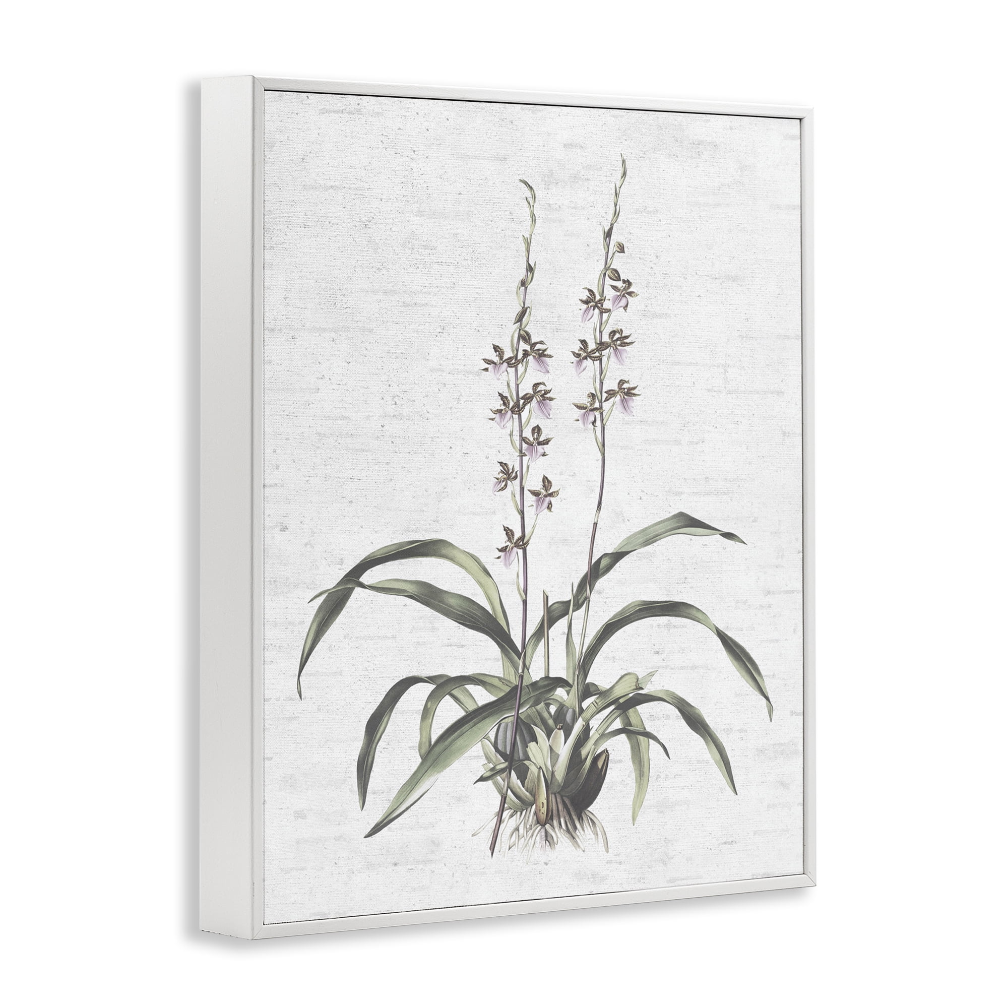 Stupell Industries Blooming Herb Bud Botanical & Floral Painting White Framed Art Print Wall Art, 16 x 20